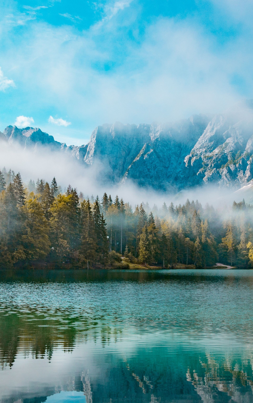 Download wallpaper 840x1336 lake, mountains, mist, forest, nature ...
