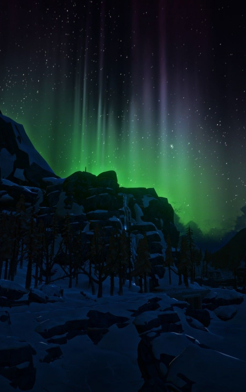 Download wallpaper 840x1336 dark, green, northern lights, gradient, sky ...