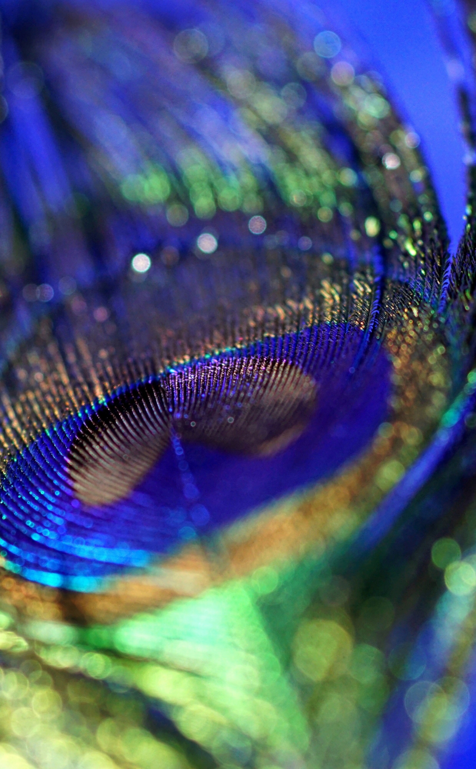Krishna Peacock Feather Flute, HD Png Download , Transparent Png Image -  PNGitem