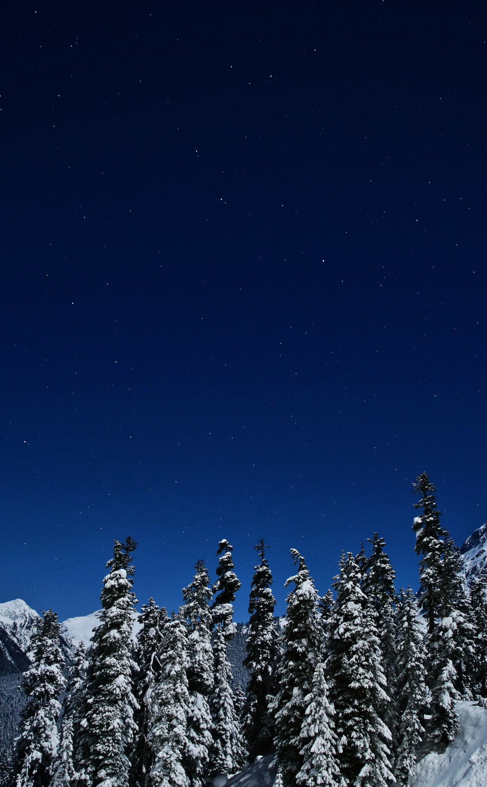 Download wallpaper 950x1534 blue sky, winter, night, nature, iphone ...