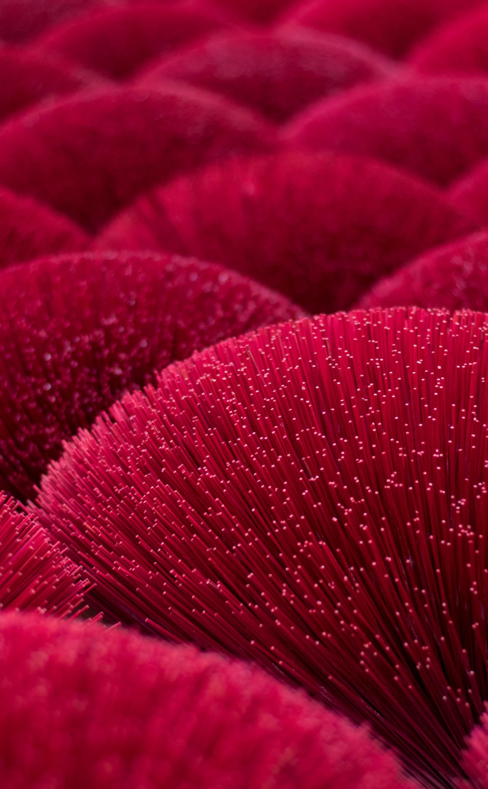 Download wallpaper 950x1534 decoration, red fibers, close up, red ...