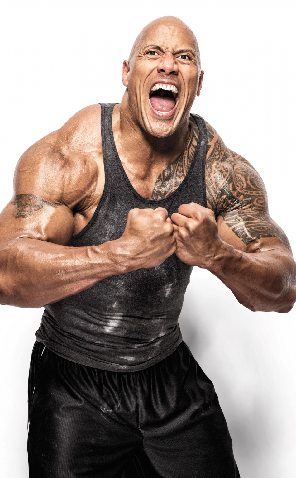 Wallpaper : Dwayne Johnson, actor, man, body, tattoos, athletic build, T  shirt, bald 2560x1600 - CoolWallpapers - 732915 - HD Wallpapers - WallHere