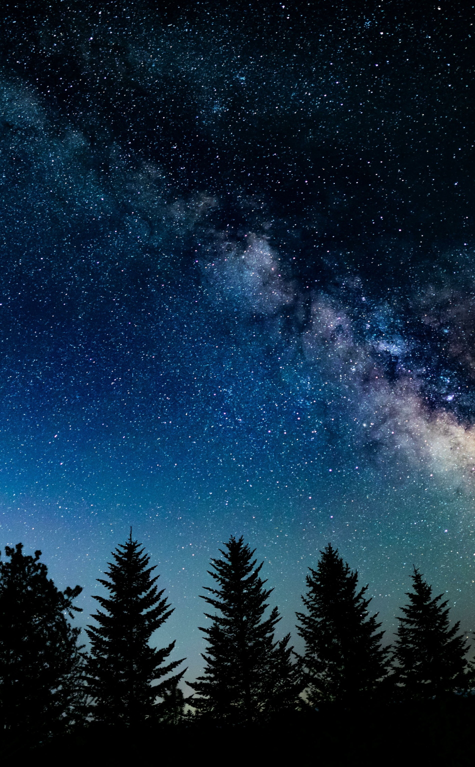 Download wallpaper 950x1534 night in wood, galaxy, starry sky, nature ...