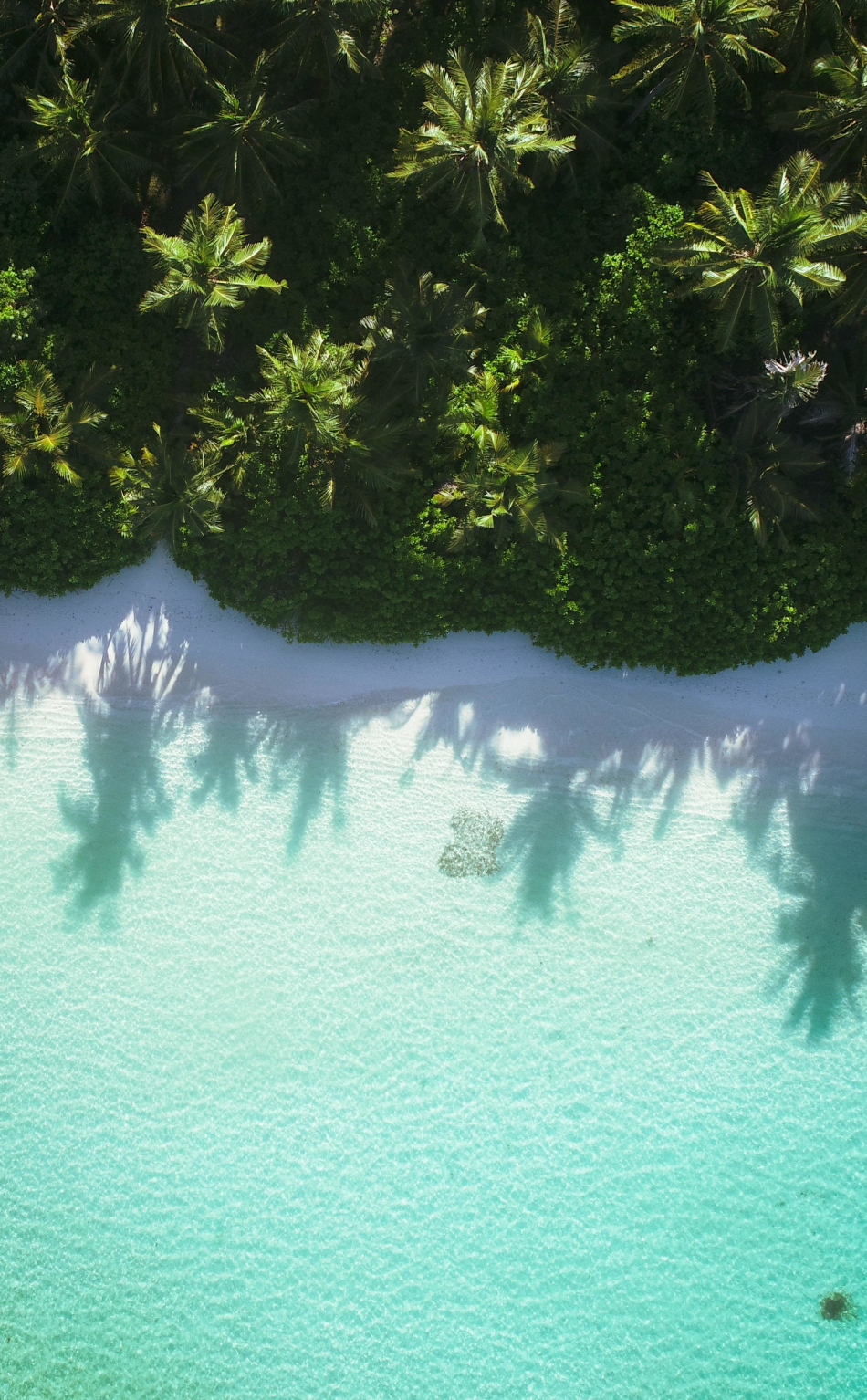 Download wallpaper 950x1534 aerial view, beach, blue sea, iphone ...
