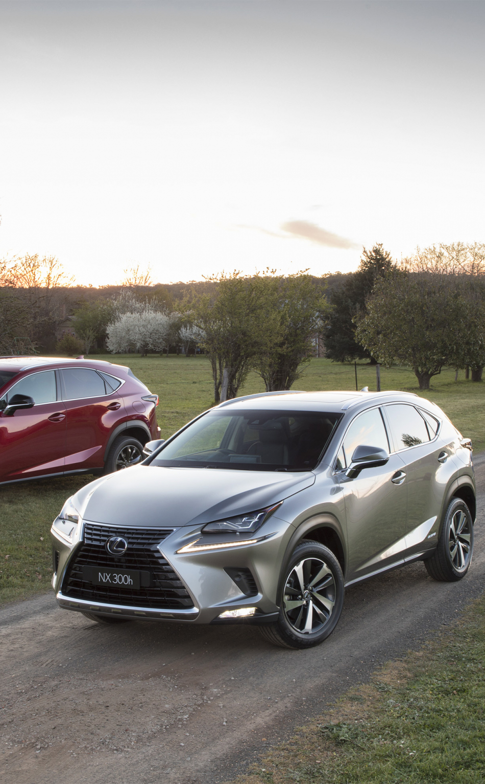 Download 950x1534 Wallpaper Lexus Nx Cars Iphone 950x1534 Hd Image Background 5332