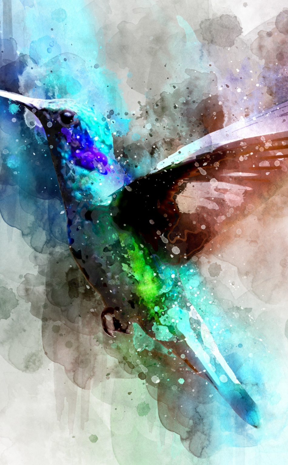 Hummingbird Wallpaper