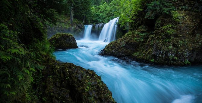 Desktop wallpaper forest, waterfall, river, nature, hd image, picture