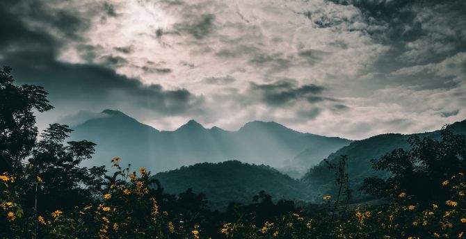 Mountains, fog, flowers, clouds, nature wallpaper