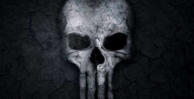 Dark, skull, logo, punisher wallpaper