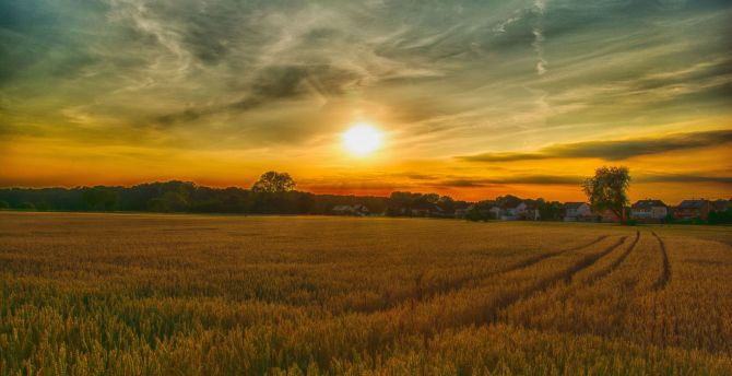 Summer, sunset, farm, landscape, nature wallpaper