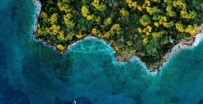 Island, forest, ocean, aerial view wallpaper