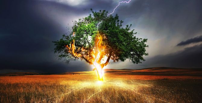Lightning, flash, tree, landscape, storm wallpaper