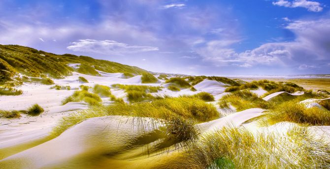 Grass, sand, beach, nature, landscape wallpaper