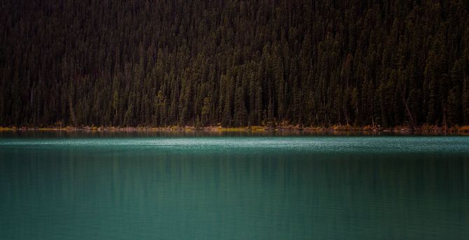 Mountains, trees, lake, minimal, nature wallpaper