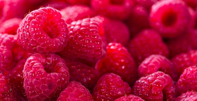 Raspberry, fruits, close up, fresh wallpaper