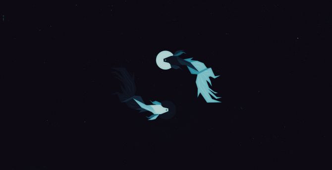 HD two fish wallpapers | Peakpx