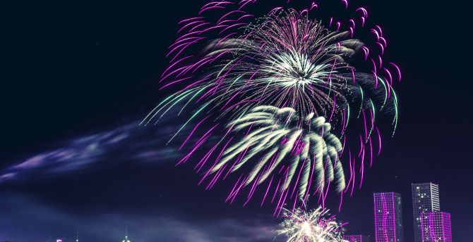 Purple, fireworks, celebrations, night wallpaper