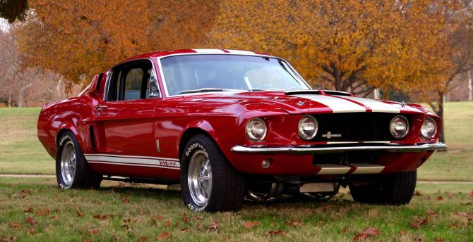 Classic, red Shelby GT500, front wallpaper