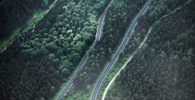 Aerial view, turns of road, green forest wallpaper