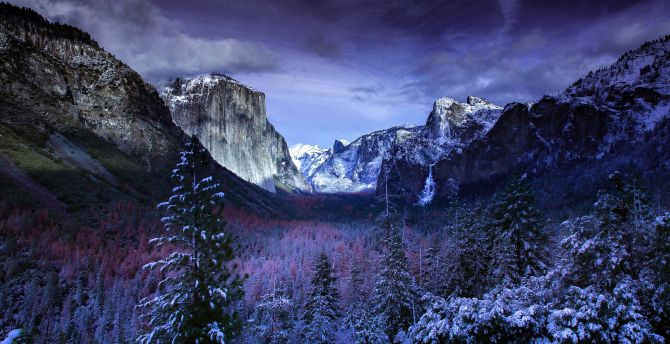 Yosemite valley, trees, sunset, winter, nature wallpaper