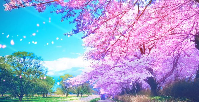 Wallpaper original, anime, trees, blossom desktop wallpaper, hd image,  picture, background, 08c3b5 | wallpapersmug