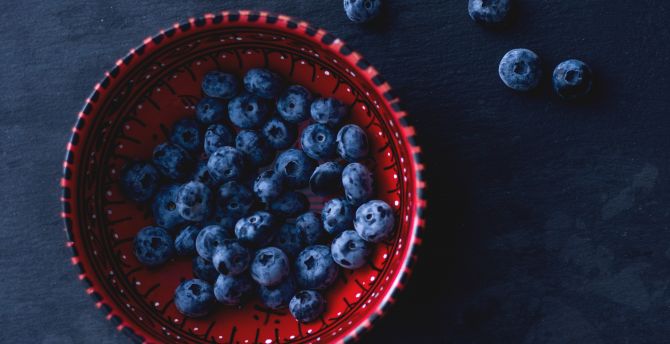 Blueberry, bowl wallpaper