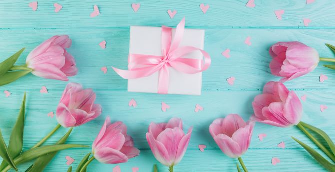 Gift box, fresh tulips, flowers wallpaper