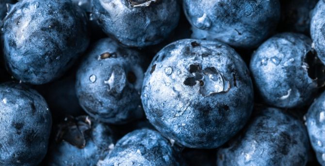 Fresh berries, fruit, blueberry wallpaper