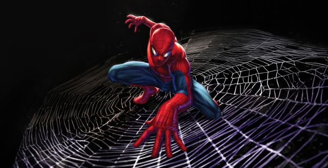 Spider-man, dynamic web, art wallpaper