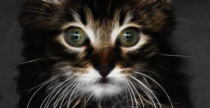 Digital art, adorable kitten, cat wallpaper