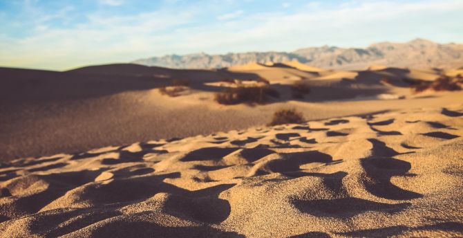 Desert, sand surface, sunny day wallpaper