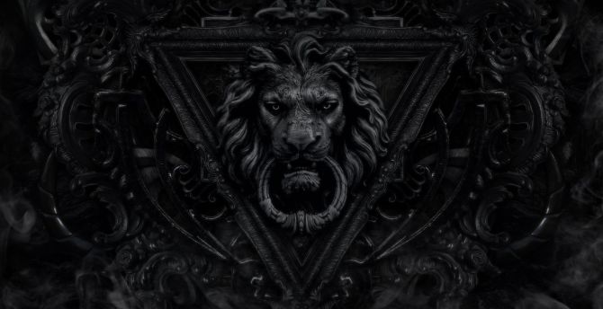 Lion muzzle, dark wallpaper