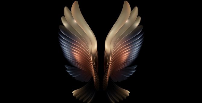 Amoled, angel wings, dark wallpaper