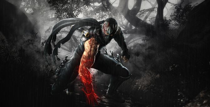 Ninja warrior, Mortal Kombat, artwork wallpaper