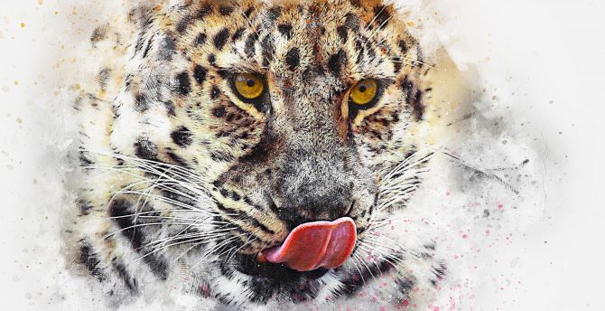Leopard, muzzle, art, predator wallpaper