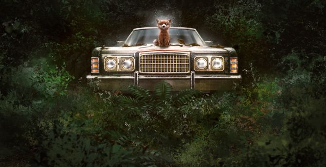 Cute, fox and car, art wallpaper
