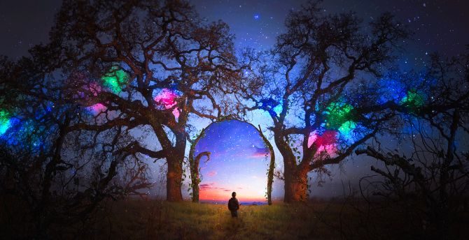 Colorful, silhouette, arch, starry sky, landscape, tree wallpaper