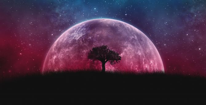 Planet, silhouette, tree, moon, galaxy, stars, photoshop wallpaper