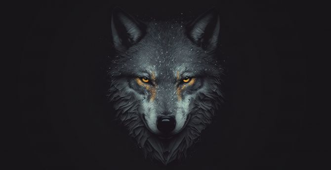 Staring Wolf, muzzle wallpaper