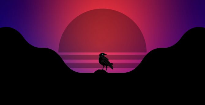 Crow bird, synthwave, silhouette wallpaper