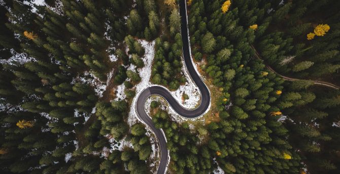 Highway's turn, tree, road, aerial view wallpaper