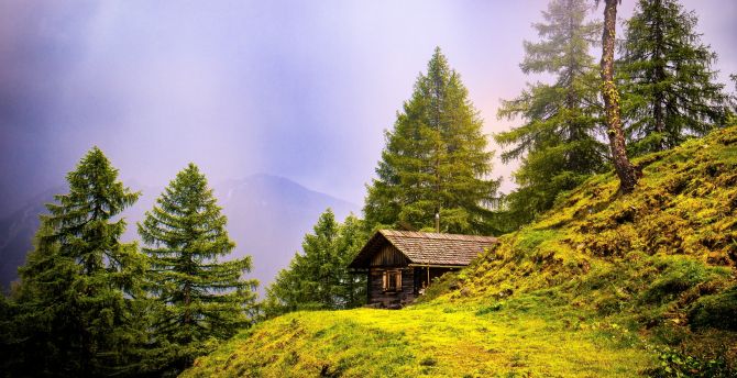Alpine, hut, landscape, nature, trees wallpaper
