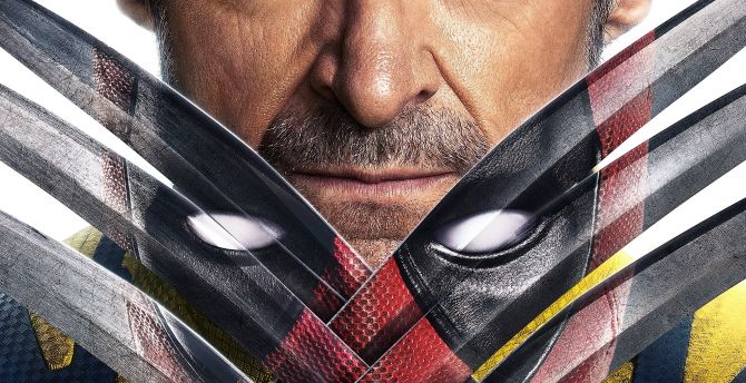 Wolverine and deadpool, marvel movie poster, 2024 wallpaper