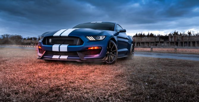 Ford Mustang, Shelby GT500, muscle car wallpaper