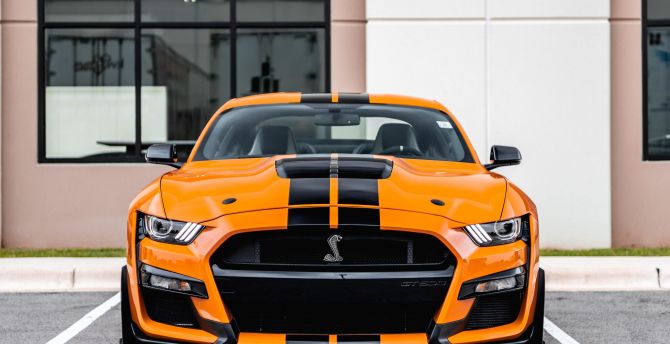Ford Mustang, front-view, car wallpaper