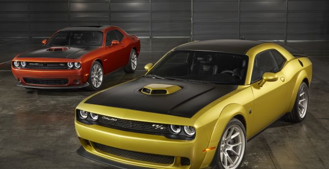 Muscle cars, Dodge Challenger, 2019 wallpaper