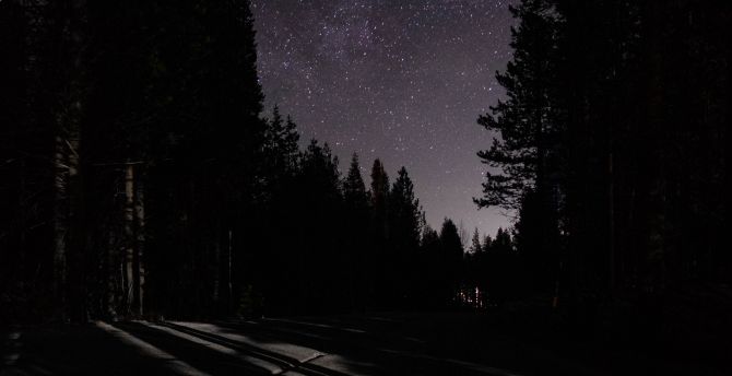 Night, dark, road, starry sky, trees wallpaper