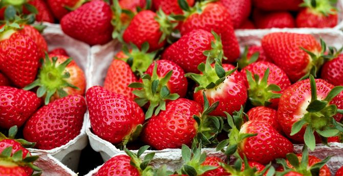 Strawberry, baskets, fruits, close up wallpaper