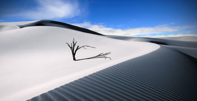 White sand dunes, landscape, lone desert wallpaper