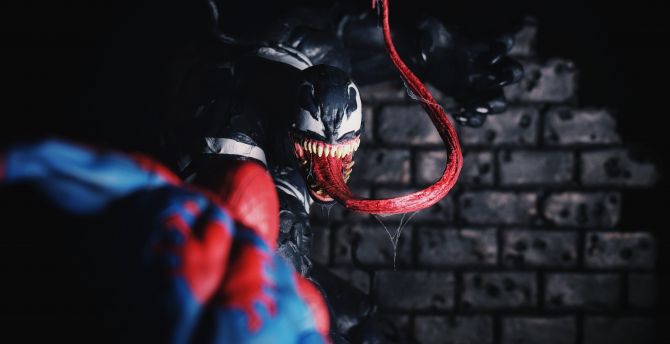 Venom and spider man, artwork wallpaper